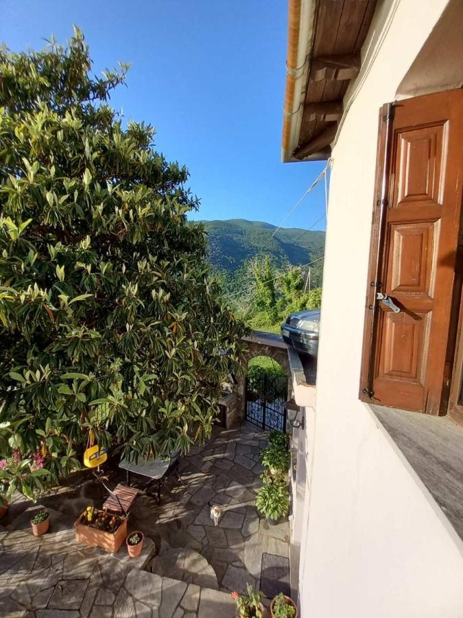 Orizontas Pilio Villa Kissos (Thessaly) Exterior foto